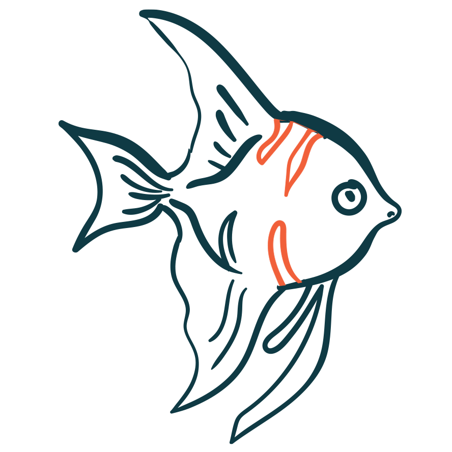 fish – Watercolors Roatan Honduras
